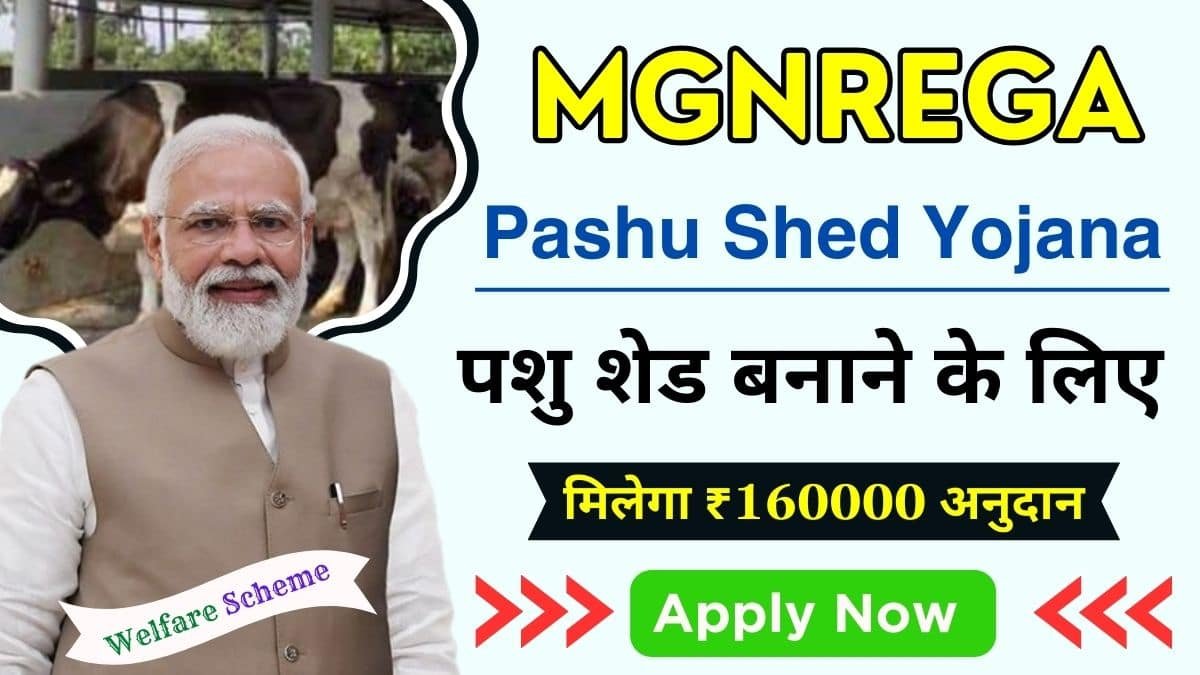 You are currently viewing MGNREGA Pashu Shed Yojana : पशु शेड बनाने के लिए मिलेगा ₹160000 अनुदान, ऐसे करे आवेदन