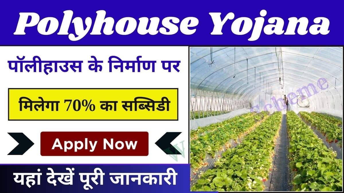 You are currently viewing Uttarakhand Polyhouse Yojana: पॉलीहाउस के निर्माण पर मिलेगा 70% का सब्सिडी, जाने कैसे मिलेगा लाभ